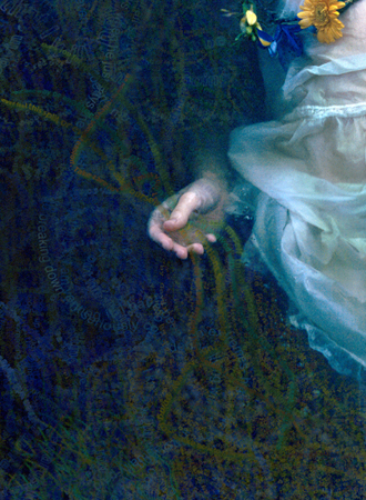 ophelia@hotmail.com Print (detail) - 2002